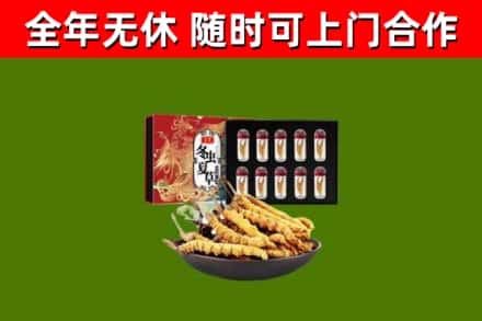 南岸区回收冬虫夏草价格